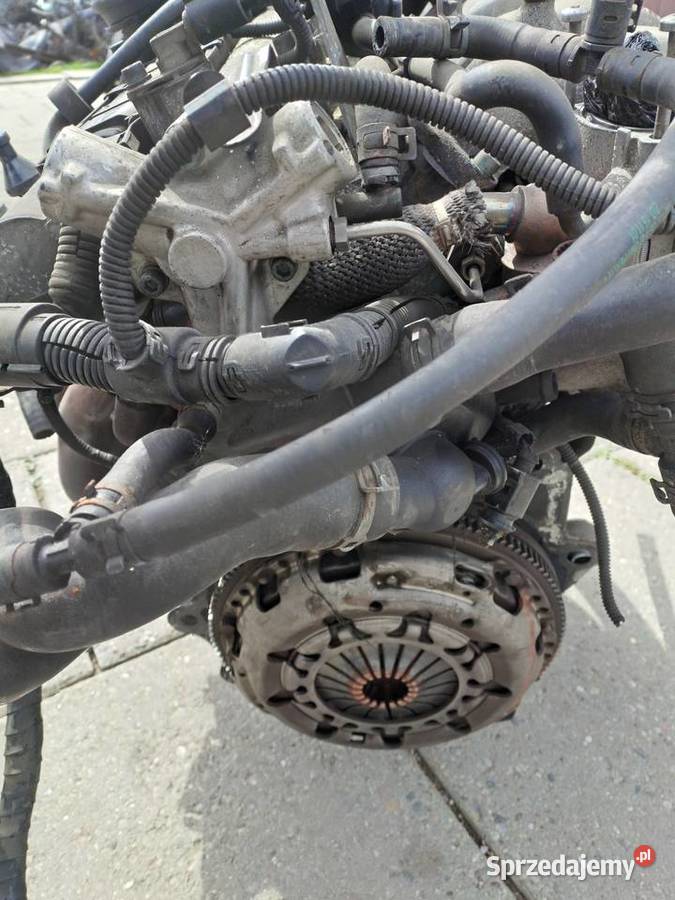 Audi Skoda Volkswagen 16 FSi skrzynia biegów kod Części samochodowe sprzedam