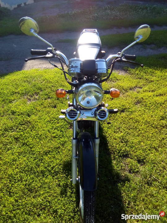 Toros El Clasico kujawsko-pomorskie Dębniaki sprzedam