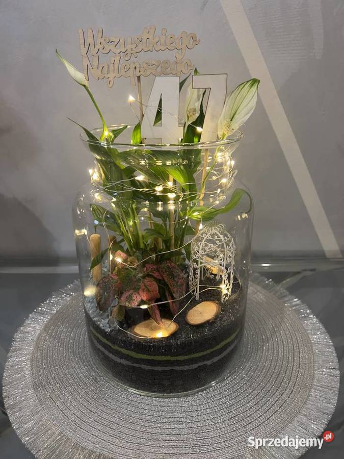 Las w szkle GOTOWA KOMPOZYCJA PREZENT Z Oborniki Śląskie