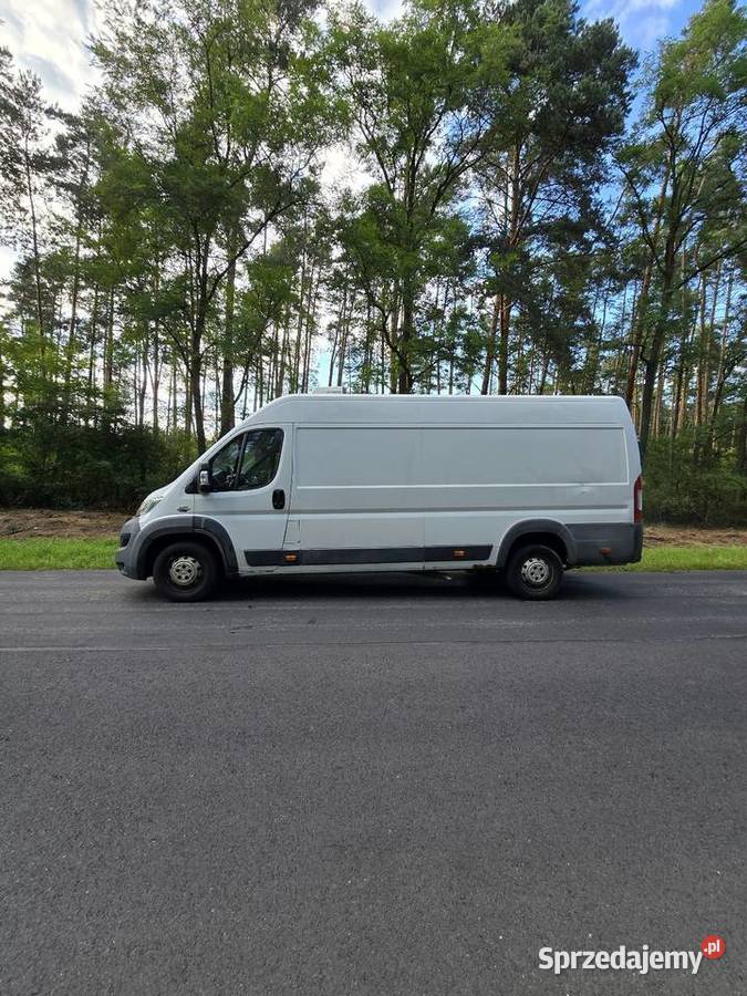 Fiat Ducato 23 Mutijet 2016r chłodnia FV23 Rok produkcji 2016 lubuskie Nowe Miasteczko