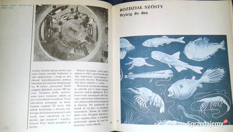 Tajemnice podmorskiego świata Piotr Oborski Rok wydania 1976 lubelskie Chełm sprzedam