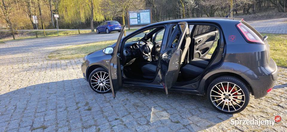 Fiat grande punto wielkopolskie