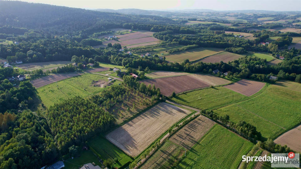Działka 4775m2 Błażkowa podkarpackie