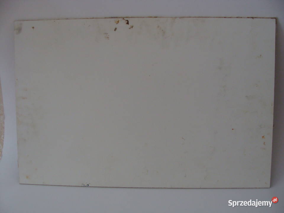 FARYS obraz wg Juliusza Kossaka Dębica