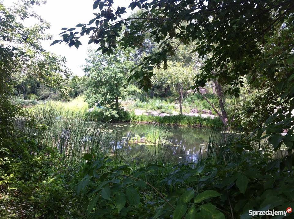 Działka ROD Imielińska 400 m wodą Pozostałe Warszawa