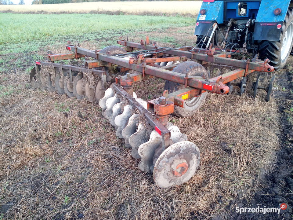 Brona Talerzowa ruska BDT