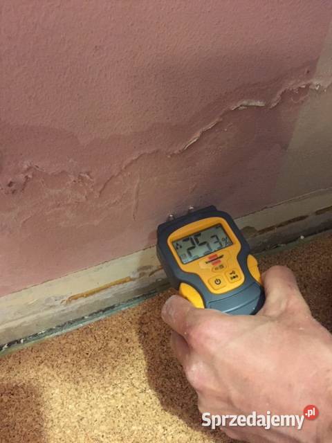 Firma wykrywająca wycieki wody Szukanie wycieku Wrocław