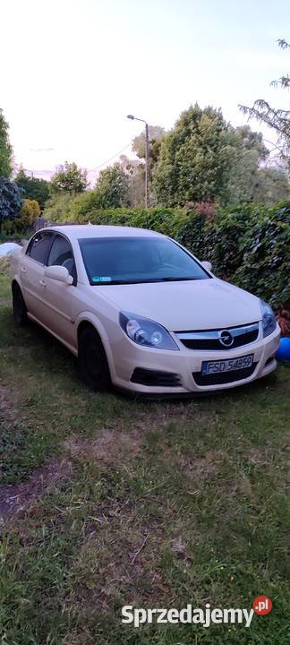 Vectra C Lift 2006 r 19 diesel Bierzwnik