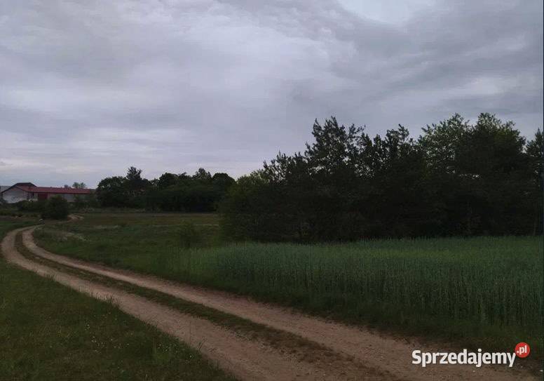Działka z możliwością zabudowy Świerczyna