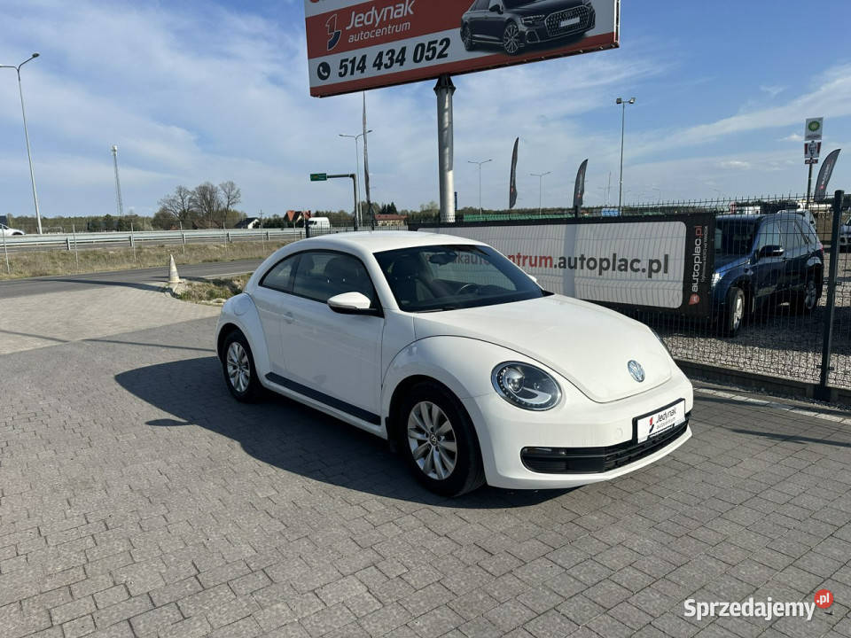 Volkswagen Beetle Lipówki