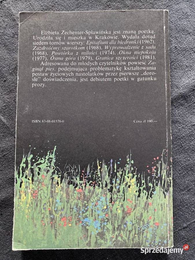 ZAGINAL PIESElzbieta Zechenter lubelskie Lublin