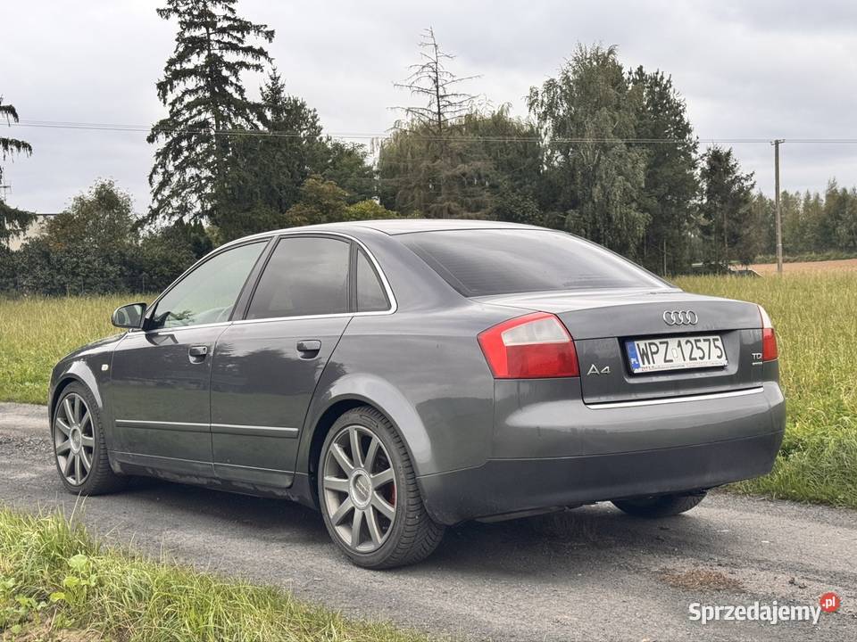 Audi A4B6 19 TDI Pelplin