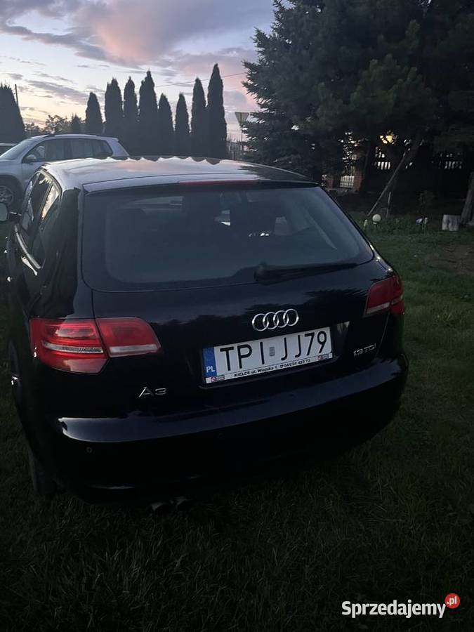 Audi a3 8p 19TDI A3 Pińczów