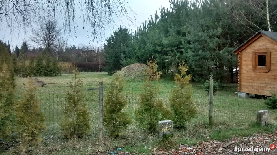 Działka ROD Sierosław II 15 Poznania Sierosław sprzedam