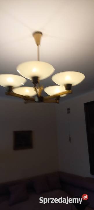 Mosiężny pięcioramienny żyrandol z kloszami w Skierniewice