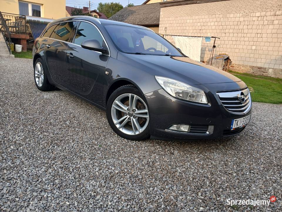 Opel insignia 2011r immobilizer Bodzentyn