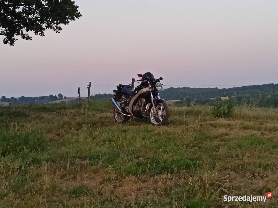 Daelim Roadwin 125 naked Gryfów Śląski