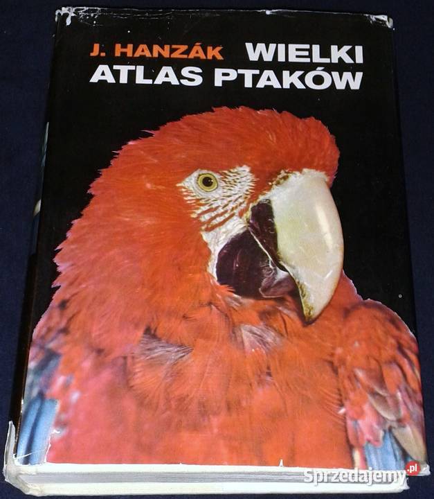 Wielki atlas ptaków Jan Hanzak Chełm sprzedam
