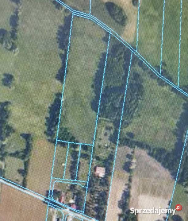 Działka 225 ha Olszowiec gm Brochów woj