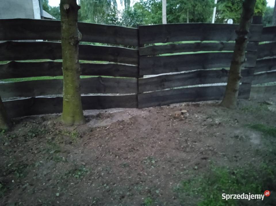 Deski Nietypowe Sosna Chełm sprzedam