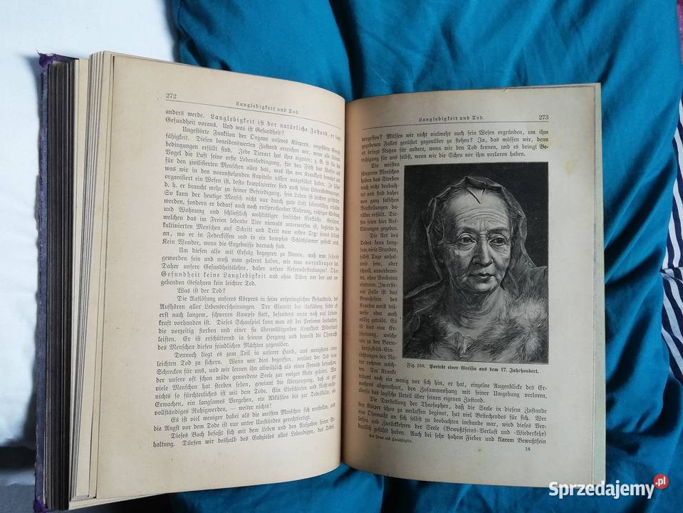 Die Frau als hausarzlin 1919 dolnośląskie Gruszków