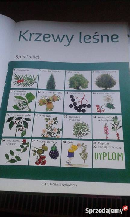 Krzewy Leśne Książka dzieci Wieprz