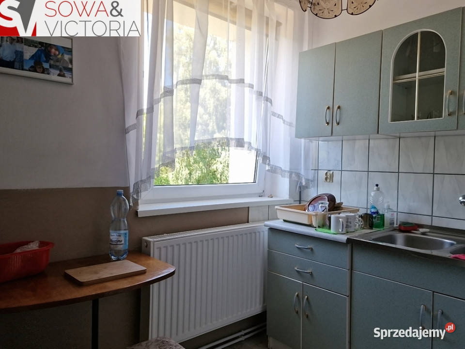 Ogródek garaż zieleń górski widok 5051zł/m2 dolnośląskie Głuszyca