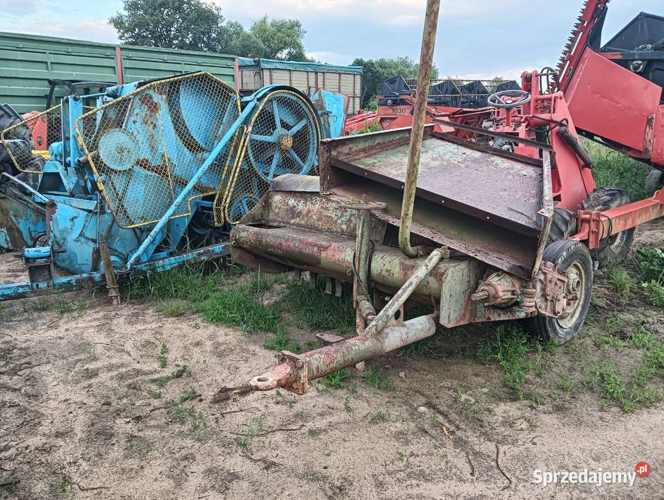 Orkan polski nieuszkodzony Brzeg