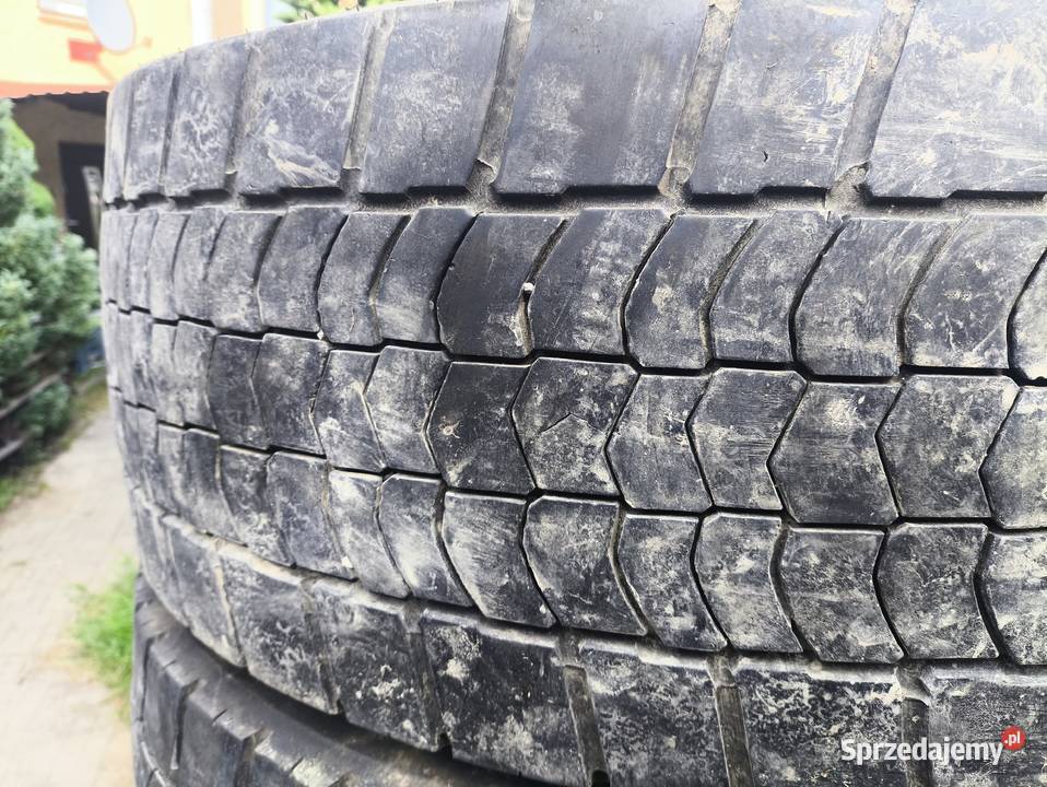 Opony 29555R225 Goodyear Continental Szerzyny