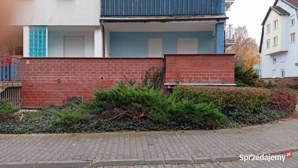 Kawalerka z tarasem parter wielkopolskie Poznań