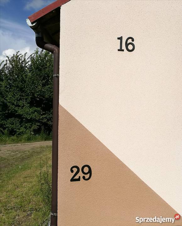 Terazyt baranek tynki kolorowe lubelskie