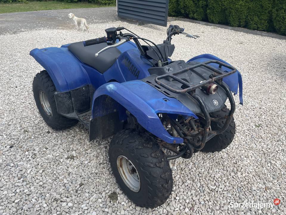 Quad Yamaha Grizzly 125 100000km Mielec
