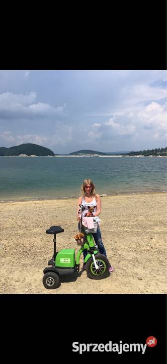 Pojazd trojkowolowy segway Aleksandrów Łódzki