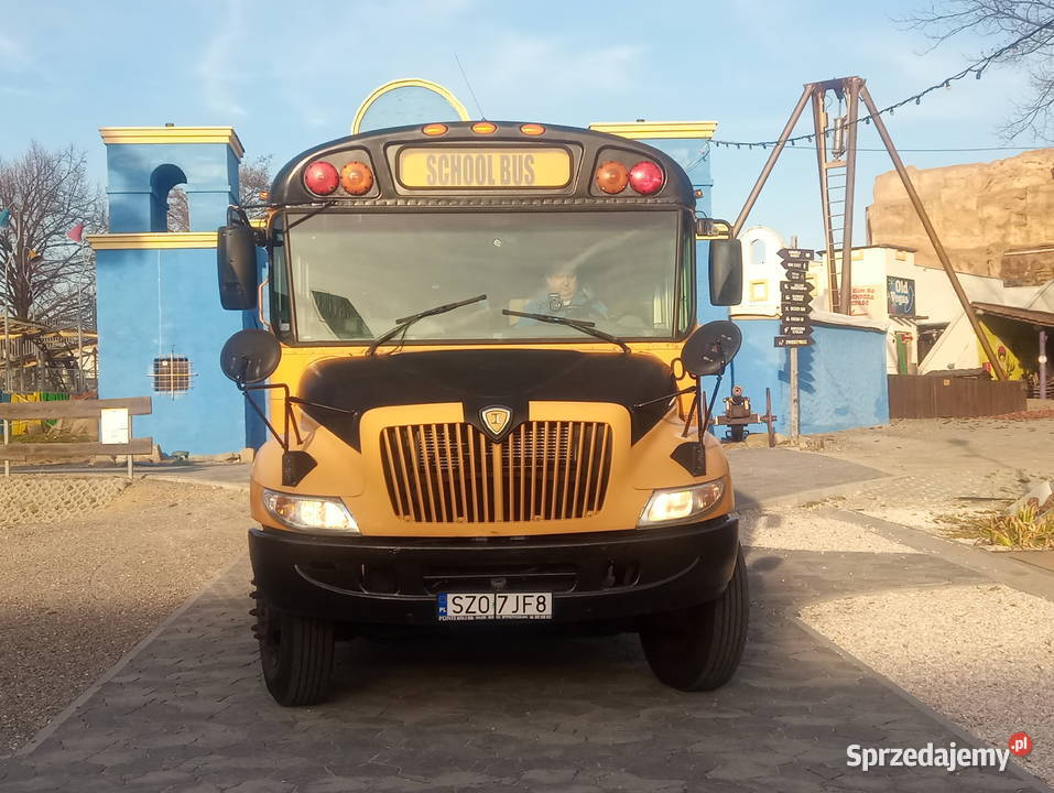 Autobus szkolny School Bus zarejestrowany w Polsce