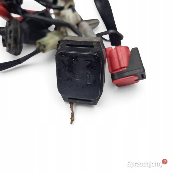 WIĄZKA INSTALACJA ELEKTRYCZNA Yamaha MT09 SP Chełm
