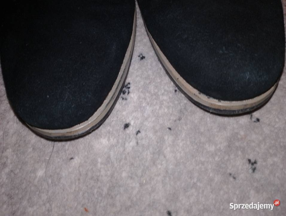 Półbuty męskie Stalowa Wola