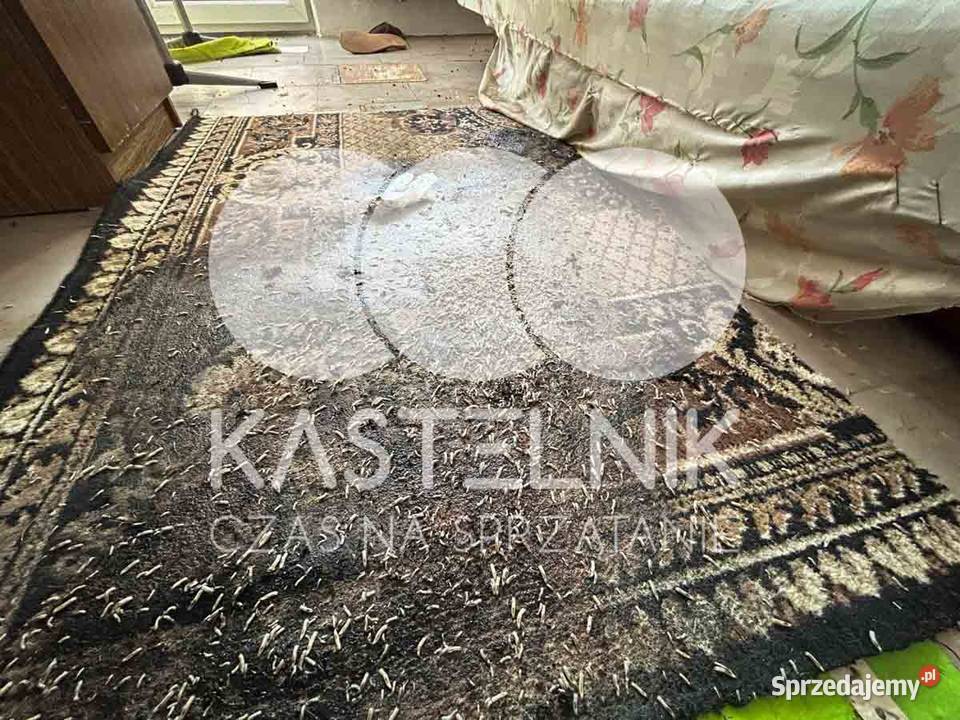 Sprzątanie zgonach Knurów Kastelnik Dezynfekcja