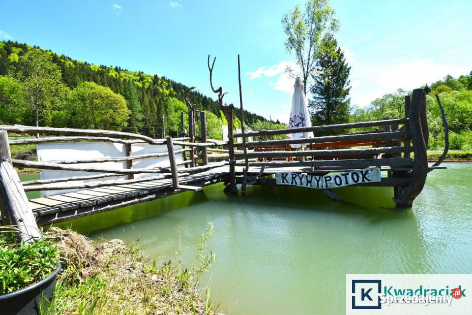 Działka 11659m2 Krzywe