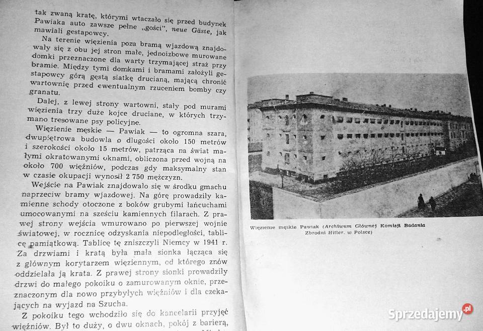 murami Pawiaka Leon Wanat Rok wydania 1960 Chełm sprzedam