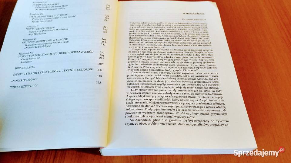 Historia filozofii buddyjskiej Volker Zotz Myśl ISBN 9788373188785