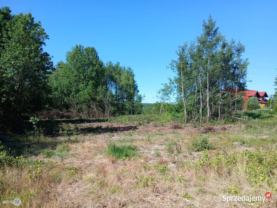 sprzedaży gruntu Raków 9100m2