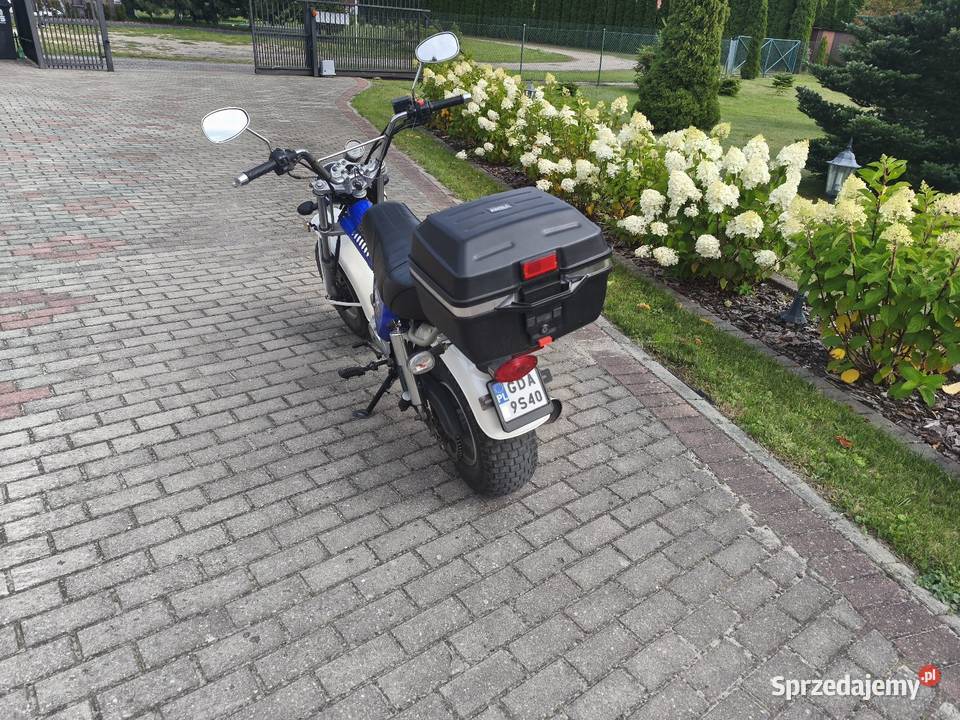 Motorower Sky team zarejestrowany Motoryzacja Mierzeszyn