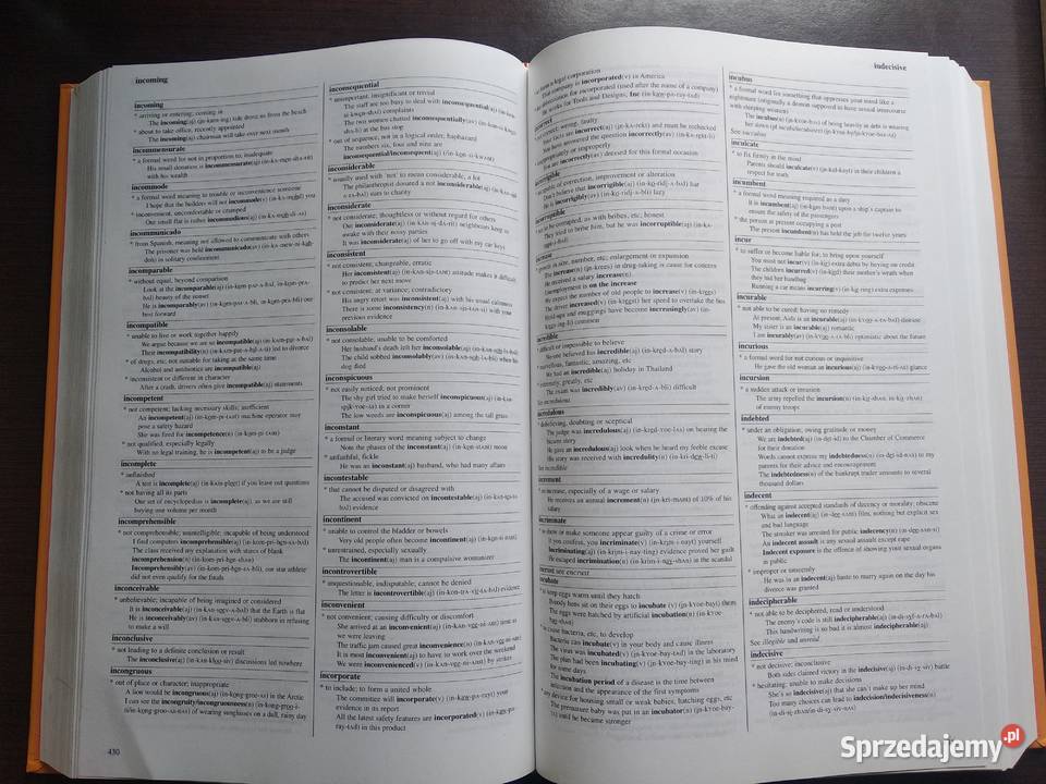 Słownik wyrazów angielskich Sosnowiec