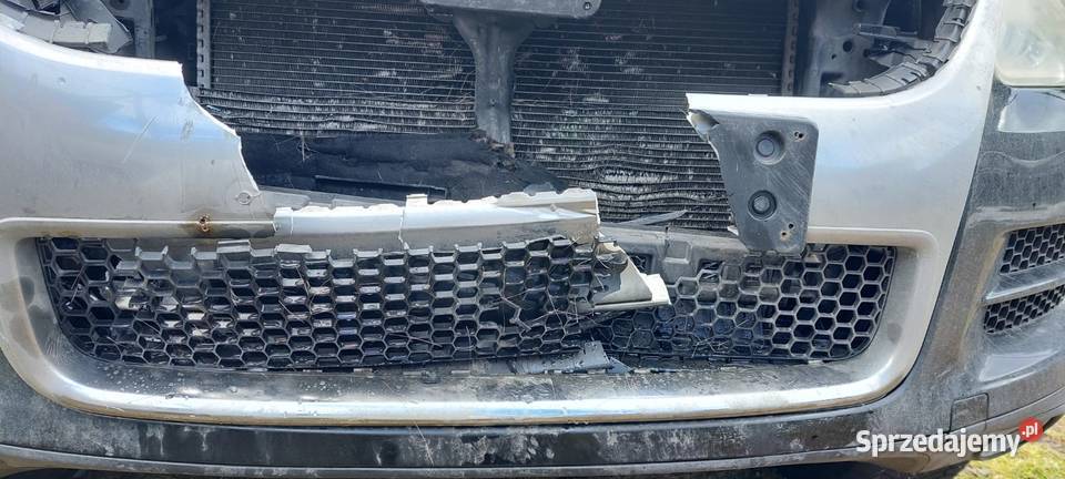 Touareg spotkaniu z sarną 235000km Przyborów