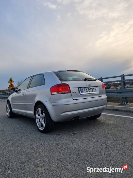 Audi A3 8P 19 TDI małopolskie Tarnów
