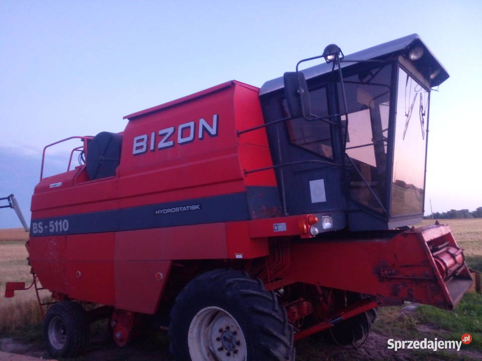 Bizon bs