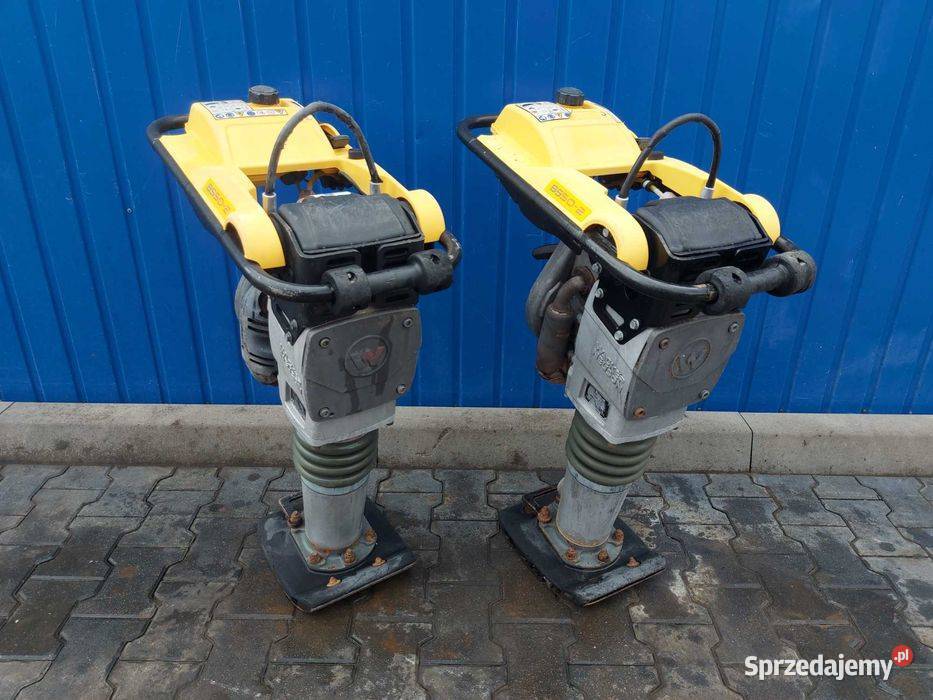 Skoczek WACKER NEUSON BS 502 14r 602 504 604 dolnośląskie