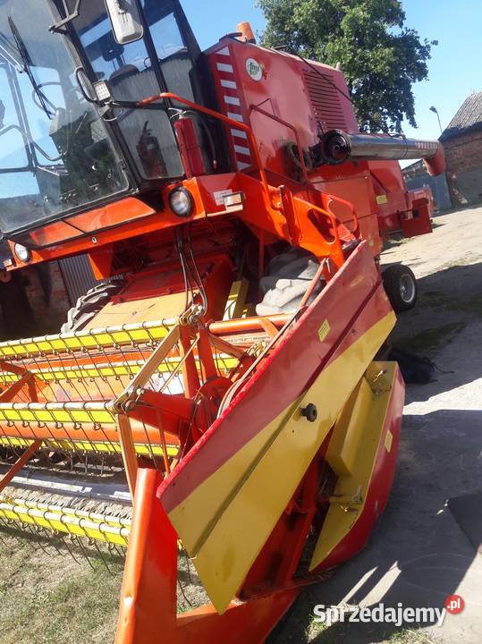 Bizon z056 Zbożowe wielkopolskie