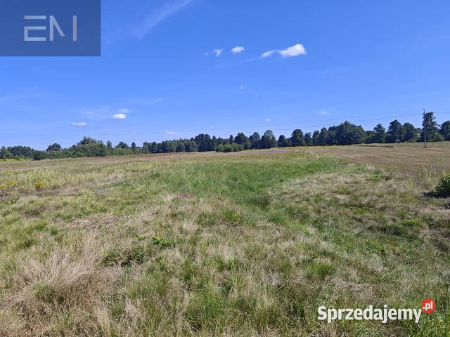 Działka Wilcza Wola 6800m2 sprzedam