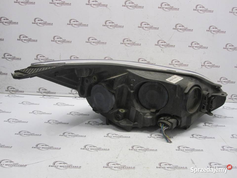 FORD FOCUS MK3 III 13r lampa lewa przód świętokrzyskie